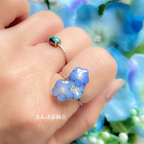 【やすらぎ三輪】勿忘草 水色 ブルー  小さい 花 ドライフラワー プラパール お花の指輪 シルバー ボタニカル フリーサイズ リング