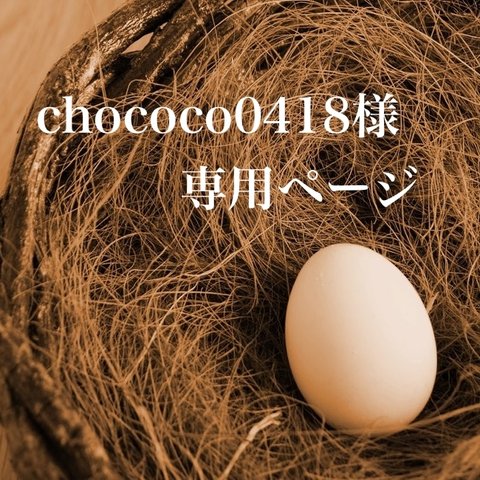 chococo0418様専用ページ