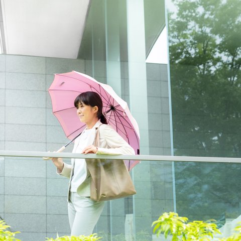【晴雨兼用傘】SCENE グログランシャンブレー ：ピンク×パープル
