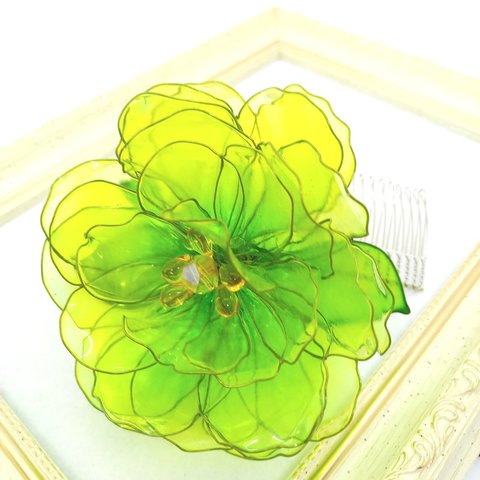 [C-3] 若草色の牡丹・大輪咲きコーム