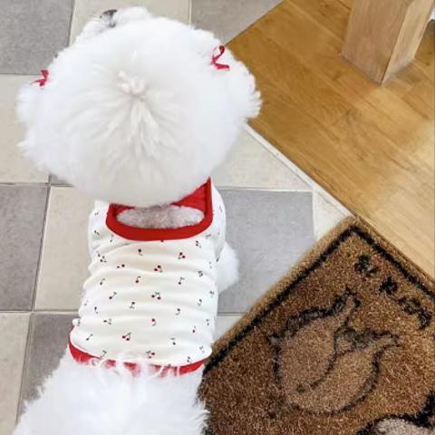 犬の服   夏服 T恤  かわいい 小型犬
