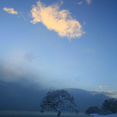 琵琶湖・雪の朝-1