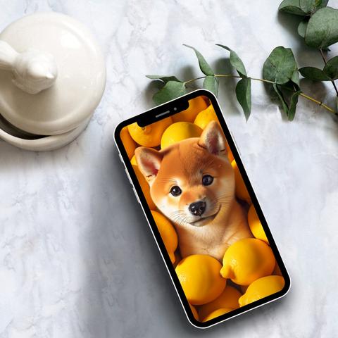 【iPhone スマホ壁紙】パピー柴犬のアート　レモンに囲まれるシバイラスト　ダウンロード販売