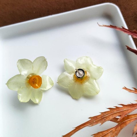 水仙花ピアス ハンドメイド スイセンイヤリング 本物花 アレルギー対策