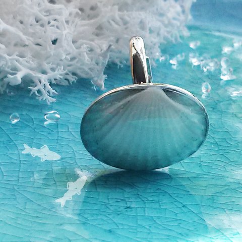 海のシェルリング【貝殻マリンアクセサリー指輪】【母の日のおくりもの特集】