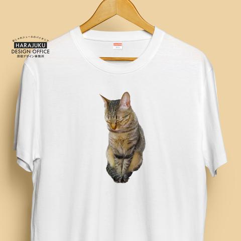 【半袖/長袖】オシャレおもしろTシャツ「眠そうな猫」