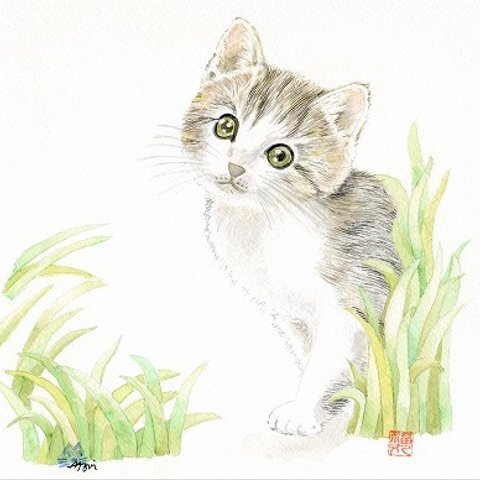 仔猫イラスト