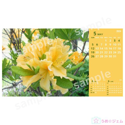 PC壁紙カレンダー2024年5月 vol.15（JPG・PNGファイル）