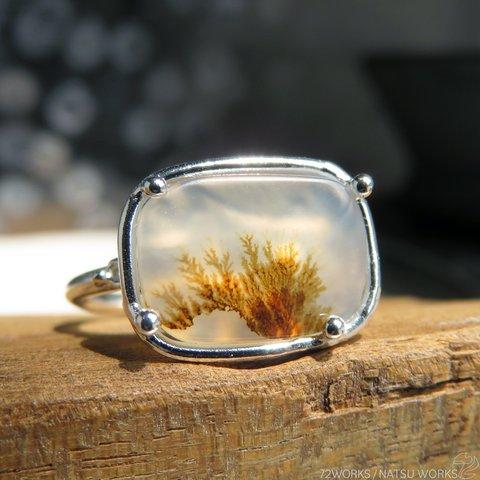 デンドリティック アゲートリング / Dendritic Agate Ring 5e