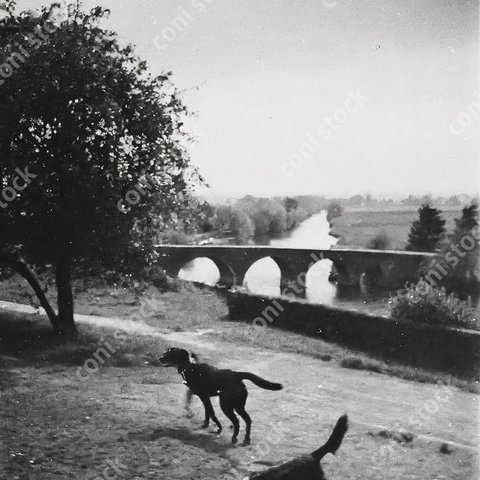 フランスの田舎のイメージ、川と橋、犬、レトロ、モノクロ、アート、古びた写真　conistock_20601_01