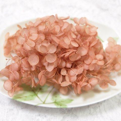 アナベル紫陽花　あじさい　アジサイ　プリザーブド　クランベリー