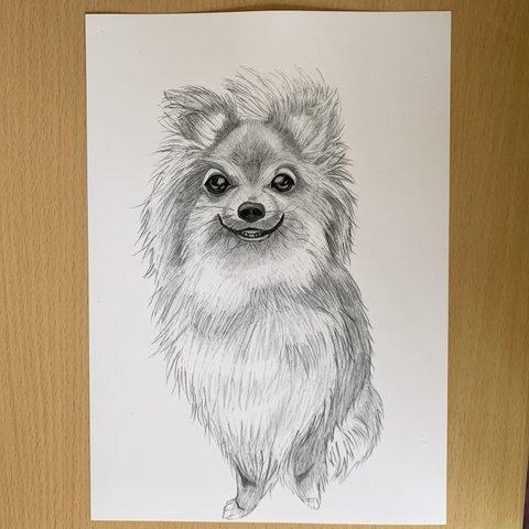 犬の鉛筆画