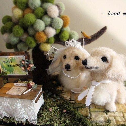 ウエルカム犬。森の結婚式。