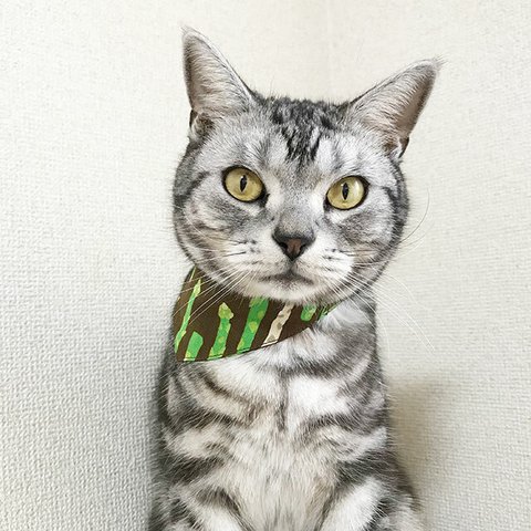 まじめな首輪【アスパラ柄】目立つバンダナ風／猫にやさしい 選べるバックル猫首輪 安全首輪 子猫 成猫