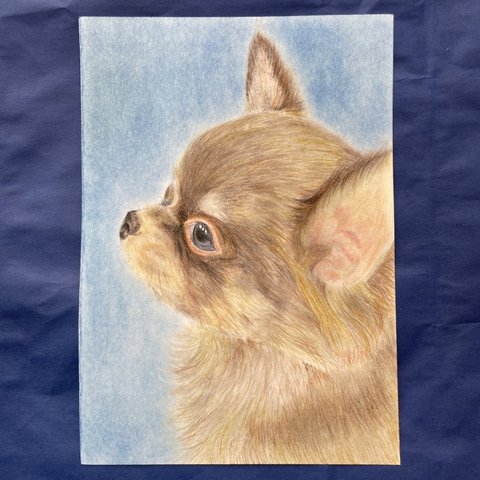 チワワ　子犬　 A5サイズ　原画