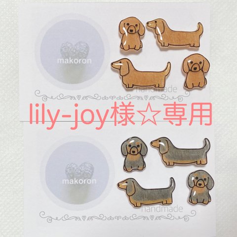 lily-joy様☆専用