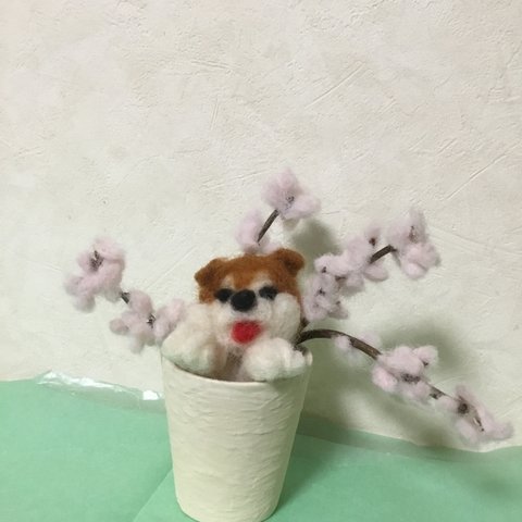 桜を楽しむ犬