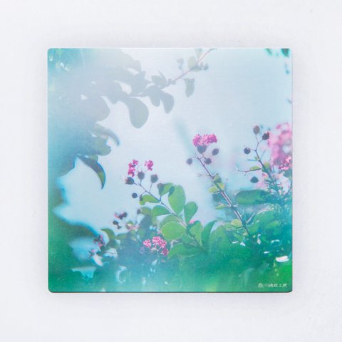 サルスベリ 3枚セット（野花のしかくいポストカード）百日紅・写真・正方形・メッセージカード