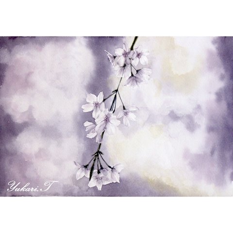 【原画】逆光の桜（水彩画/額つき）★絵画 しだれ桜 花見 インテリア 癒し プレゼントに