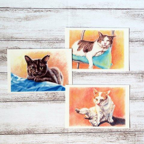 ポストカード🐈猫パステル画 ３枚セット〈たくましく生きる公園猫ちゃん達〉
