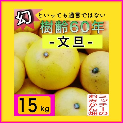 【北海道 沖縄のお客様用】ぶんたん土佐文旦フルーツ果物くだもの果実みかん柑橘《文旦／えひめ産》