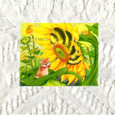 post card2枚セット「太陽の花～マメシバ～」(100)