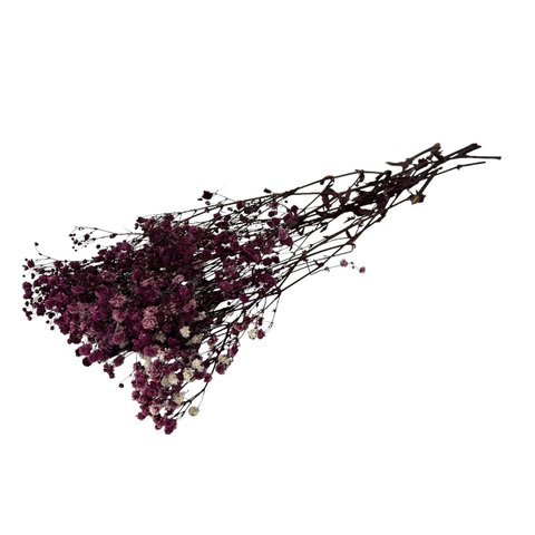 【即納】 かすみそうブロッサム 50g ラベンダー プリザーブドフラワー カスミソウ 霞 花材 小さい花 花 プリザーブド花材 ハンドメイド パーツ アクセサリー 資材 紫