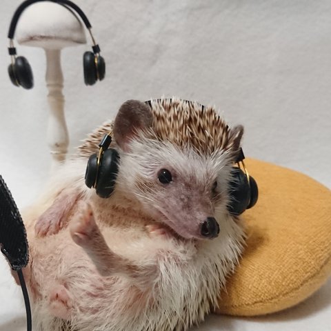 hedgephones(Silver)