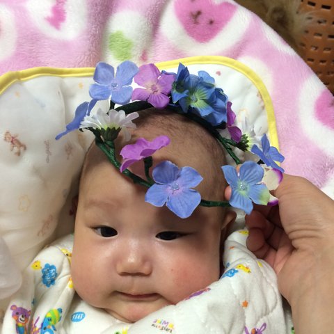 紫陽花の花冠