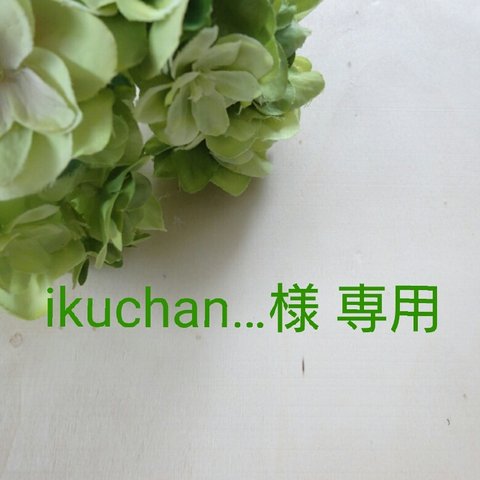 ＊オーダー ikuchan… 様専用＊