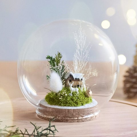 クリスマスドーム-White [丸ドーム型]《プリザーブド苔てのリウム》