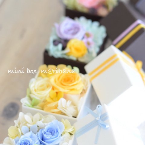 《再販》4カラーmini BOXアレンジ（ホワイト&ブラウン）