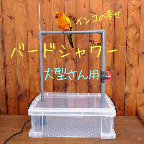 【For Oversea】Bird shower L size 
