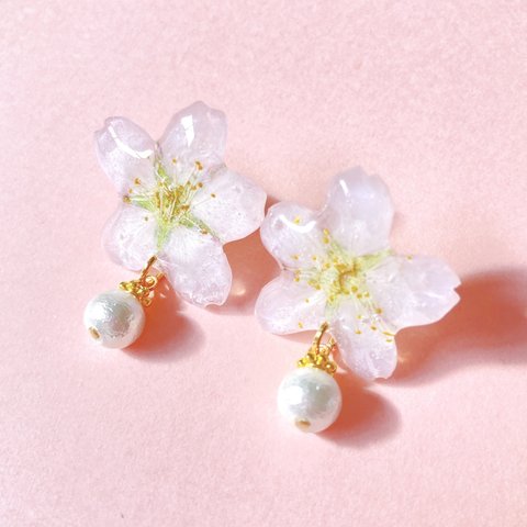 春限定　2024年　早咲桜の上品コットンパール　ピアス/イヤリング　〜pearl〜