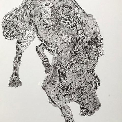 Canis IupusⅣ　　ボールペン細密画 ballpoint pen drawing