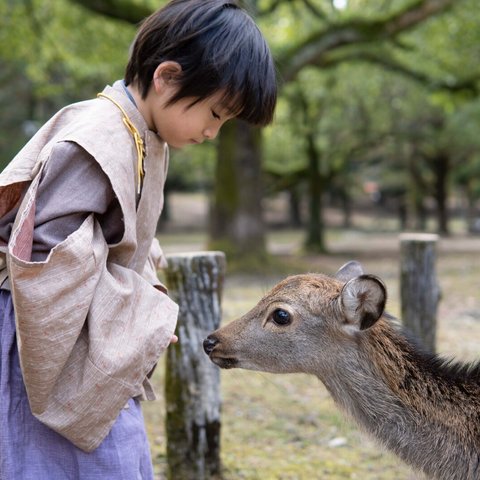 2 color 和を嗜む秋。蜻蛉の水干/ ペンギンのおしり 男の子 フォーマル 七五三 結婚式