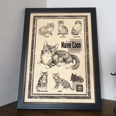 メインクーンの子猫のポスター