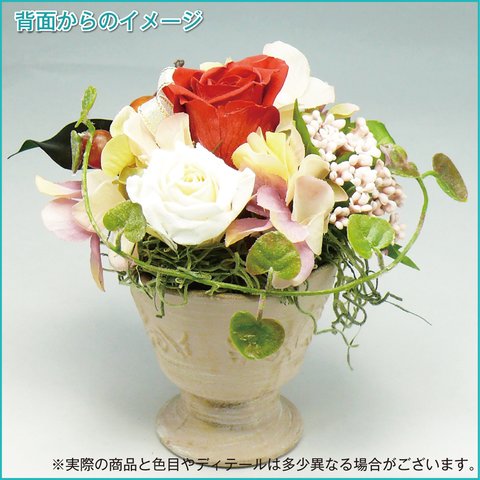 プレゼント！　赤いリンゴの花畑 