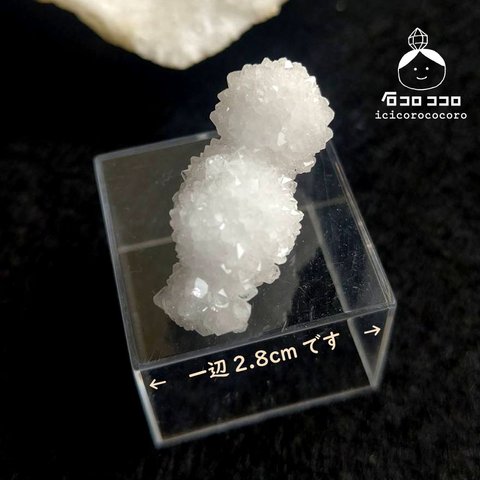 【1点もの】モロッコの砂漠から！ことり？コロコロ水晶◆モロッコ直輸入04【かわいい鉱物標本】