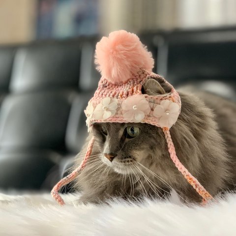 販売終了【猫用 帽子】みぅちゃんのおしゃれポンポン帽子