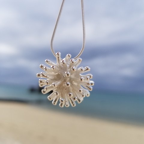 【Special　Design】　Coral ～珊瑚～SILVER925