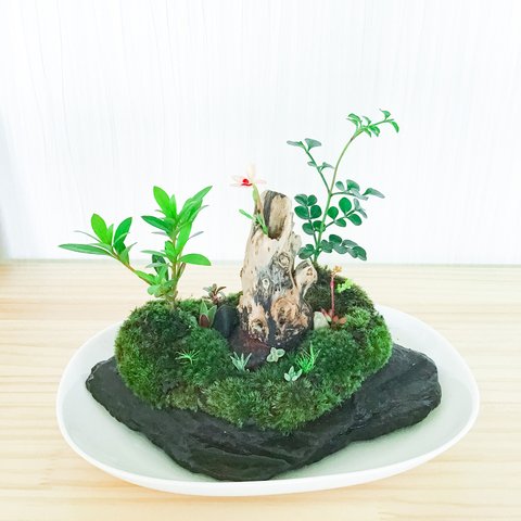 苔盆景(苔島新作流木の花瓶)