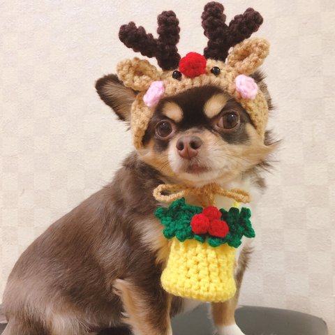 再販‼️犬用＆猫用 トナカイ帽子🦌💖 クリスマス サンタ クリスマス変身グッズ