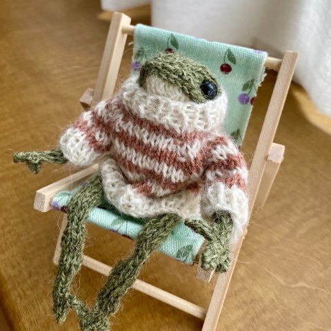 frog in sweater