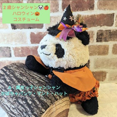 2歳シャン♡ハロウィンコスチュームA魔女っ子シャンシャンかぼちゃパンツオレンジ