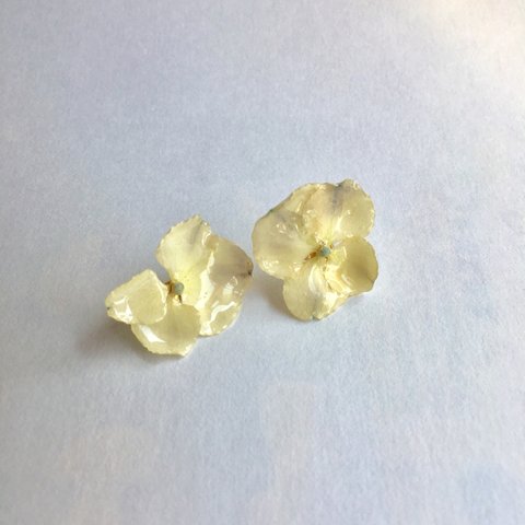  紫陽花生花ピアス・送料無料