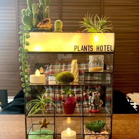 屋上付き植物ホテル