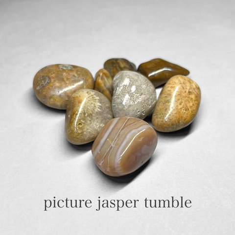 picture jasper tumble / ピクチャージャスパータンブル 1