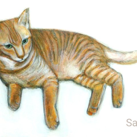 虎猫　真作　アクリル、色鉛筆絵画　A5