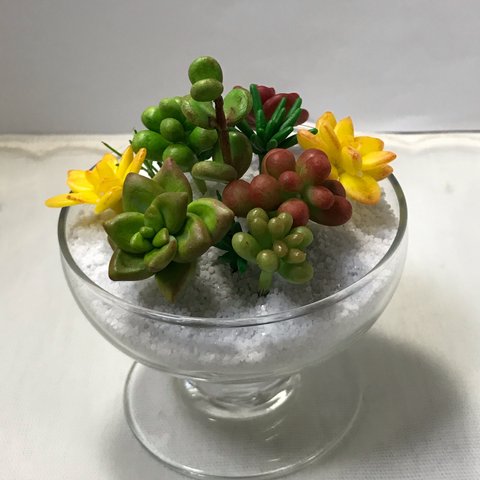 粘土で創る多肉植物の寄せ植えキット